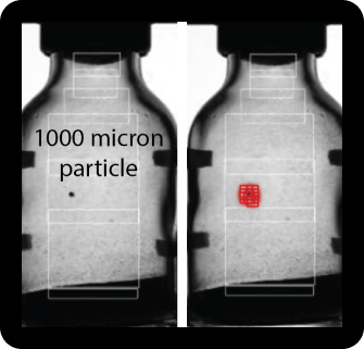 1000 micron particle