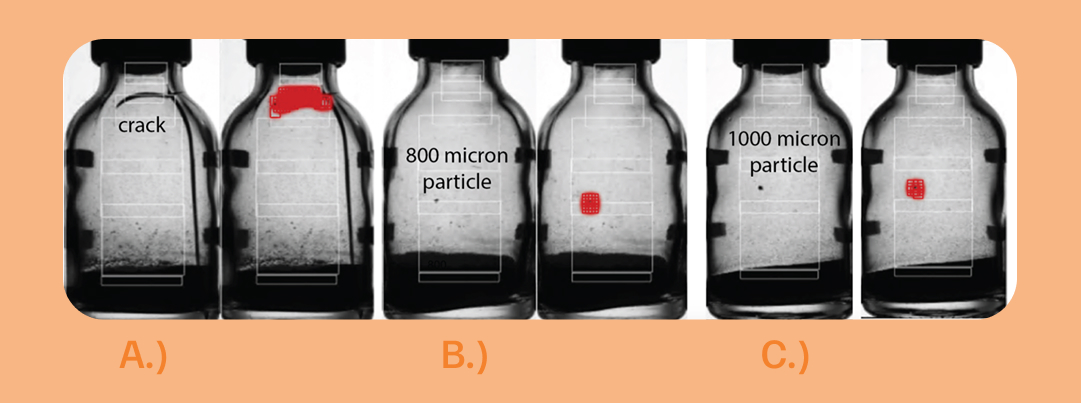 Defect Injection Classification Summary | Inspection of Visible Particles in Injections