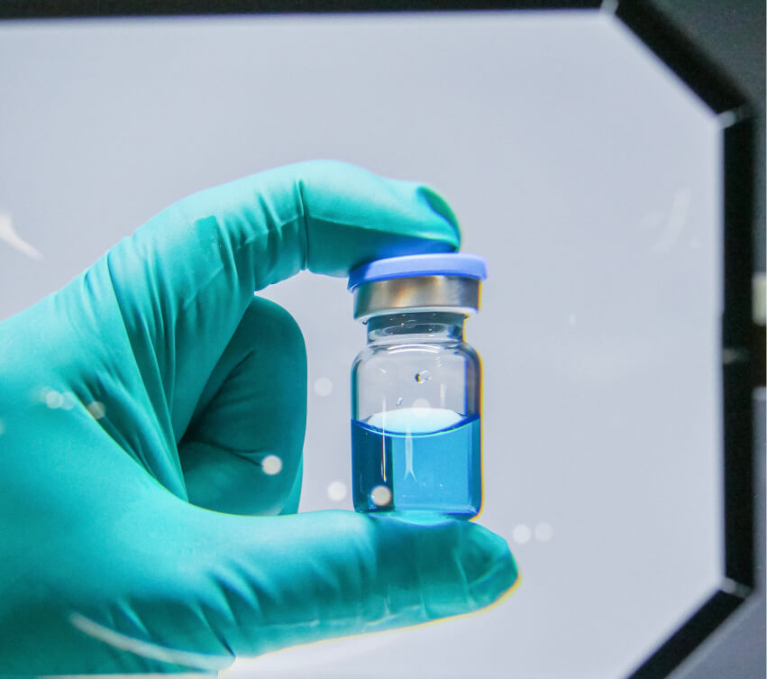 Magnified manual inspection